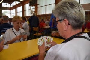 Županijski susret umirovljenika 16.06.2018 (155)